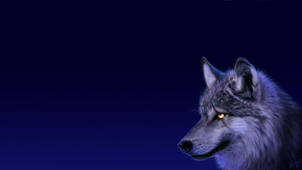 gray and white wolf, wolf, animals, simple background, artwork HD wallpaper