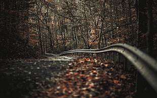 shallow focus photo of gray road railing