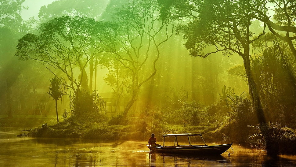brown canoe, nature, boat, trees, water HD wallpaper