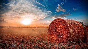 brown hay, hay, sunlight, clouds, haystacks