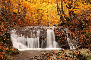 waterfalls surrounded by brown leafed trees