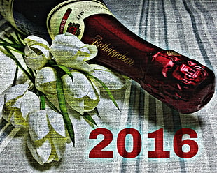 2016,  New year,  Champagne,  Flowers