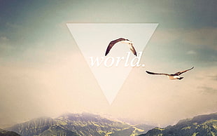 world, landscape, triangle HD wallpaper