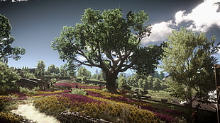 green leafed trees, The Witcher 3: Wild Hunt, video games