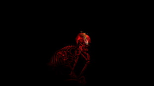 red skeleton digital wallpaper, digital art, skull, black background, minimalism