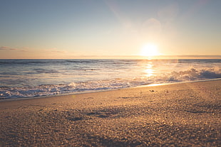 photo of seashore during sunset