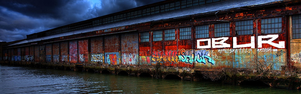 assorted-theme graffiti, water, graffiti HD wallpaper