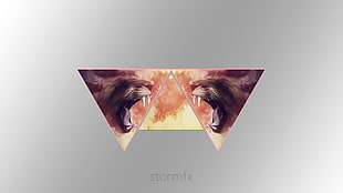 brown and black wooden wall decor, lion, triangle, galaxy, clouds