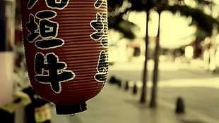red and black lantern, lantern