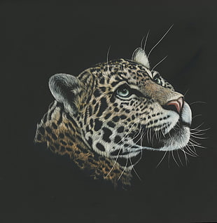 macro photography of brown and black leopard head illustration