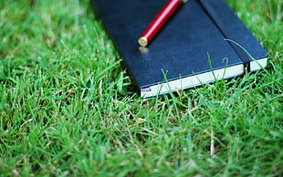 blue notebook on green grass lawn HD wallpaper