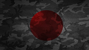 dark-gray and gray camouflage textile, Japan, military, camouflage HD wallpaper