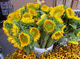 bouquet of yellow petaled flowers