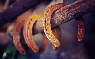 brown horse shoes HD wallpaper