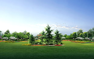 panoramic photography of grass field with trees under blue sky at daytime