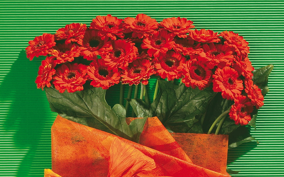 red and green flower bouquet HD wallpaper