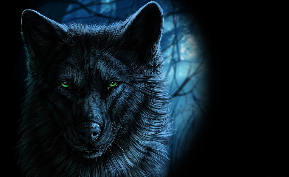 black wolf wallpaper, animals, fantasy art, wolf, artwork HD wallpaper