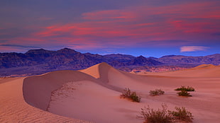 desert sand hills, nature, landscape, sand, desert HD wallpaper
