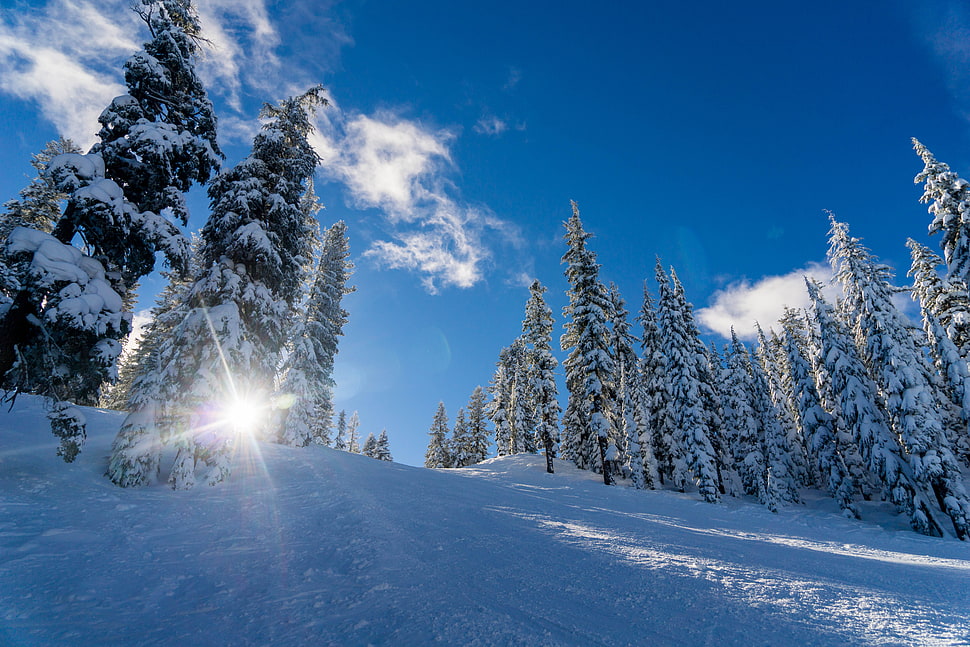 snow landscape photo during daytime HD wallpaper