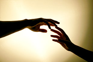 photo of two hand reaching each other on dim light