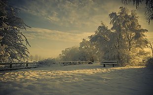 snow covered bench under sunset