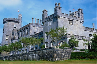 white and brown concrete building, castle, Dromoland Castle , Ireland HD wallpaper