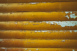 closeup photo of yellow painted wooden wall HD wallpaper