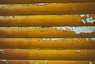 closeup photo of yellow painted wooden wall