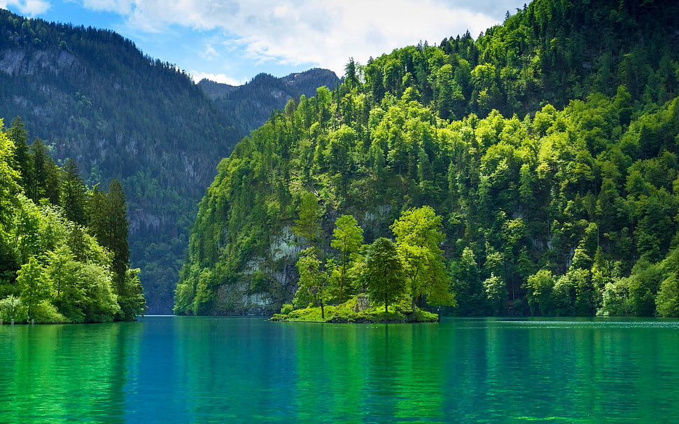 green trees and mountain ranges, lake, nature, landscape, Germany HD wallpaper