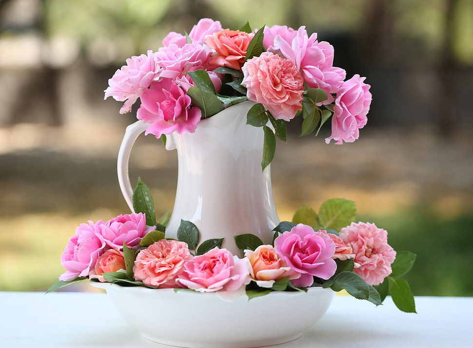 Pink roses in white ceramic vase HD wallpaper | Wallpaper Flare