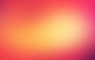 Soft,  Light,  Bright HD wallpaper