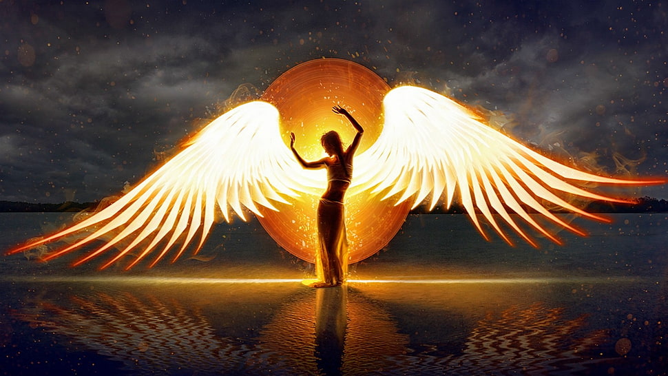 angel silhouette illustration, artwork, wings HD wallpaper