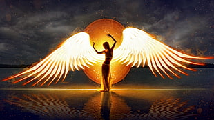 angel silhouette illustration, artwork, wings