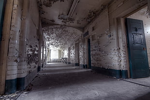 white and black floral area rug, prisons, building, interior, ruin