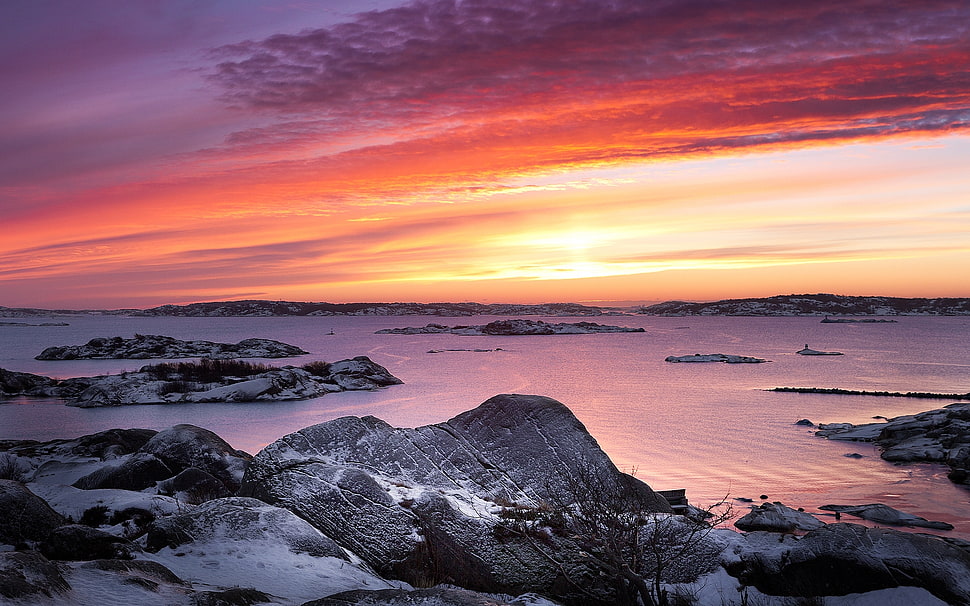 seashore during sunset HD wallpaper