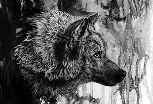 black and white wolf painting, ink, wolf HD wallpaper
