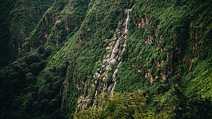 green mountain, Slope, Cliff, Trees