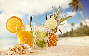 lime and orange cocktails on sand beside seashells