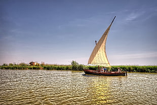 maroon and brown sailboat on crippling water beside land covered with grass HD wallpaper