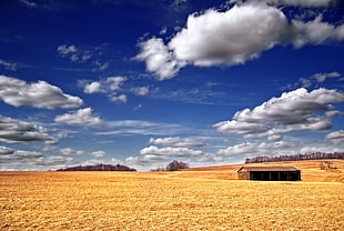 brown wooden stable on brown ground under blue daytime sky with scattered patches of altocumulus clouds