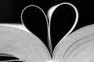 close up photo of book with heart-shaped of pages HD wallpaper