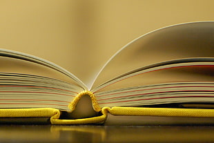open page book in closeup photography