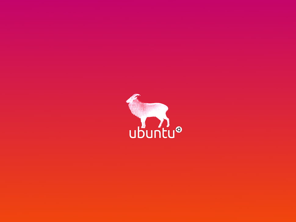 Ubuntu logo, Linux, Ubuntu HD wallpaper