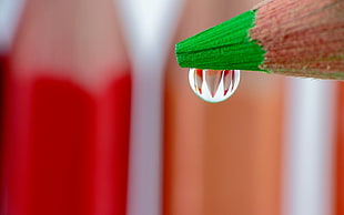 macro photography of water dew dripping from green color pencil tip