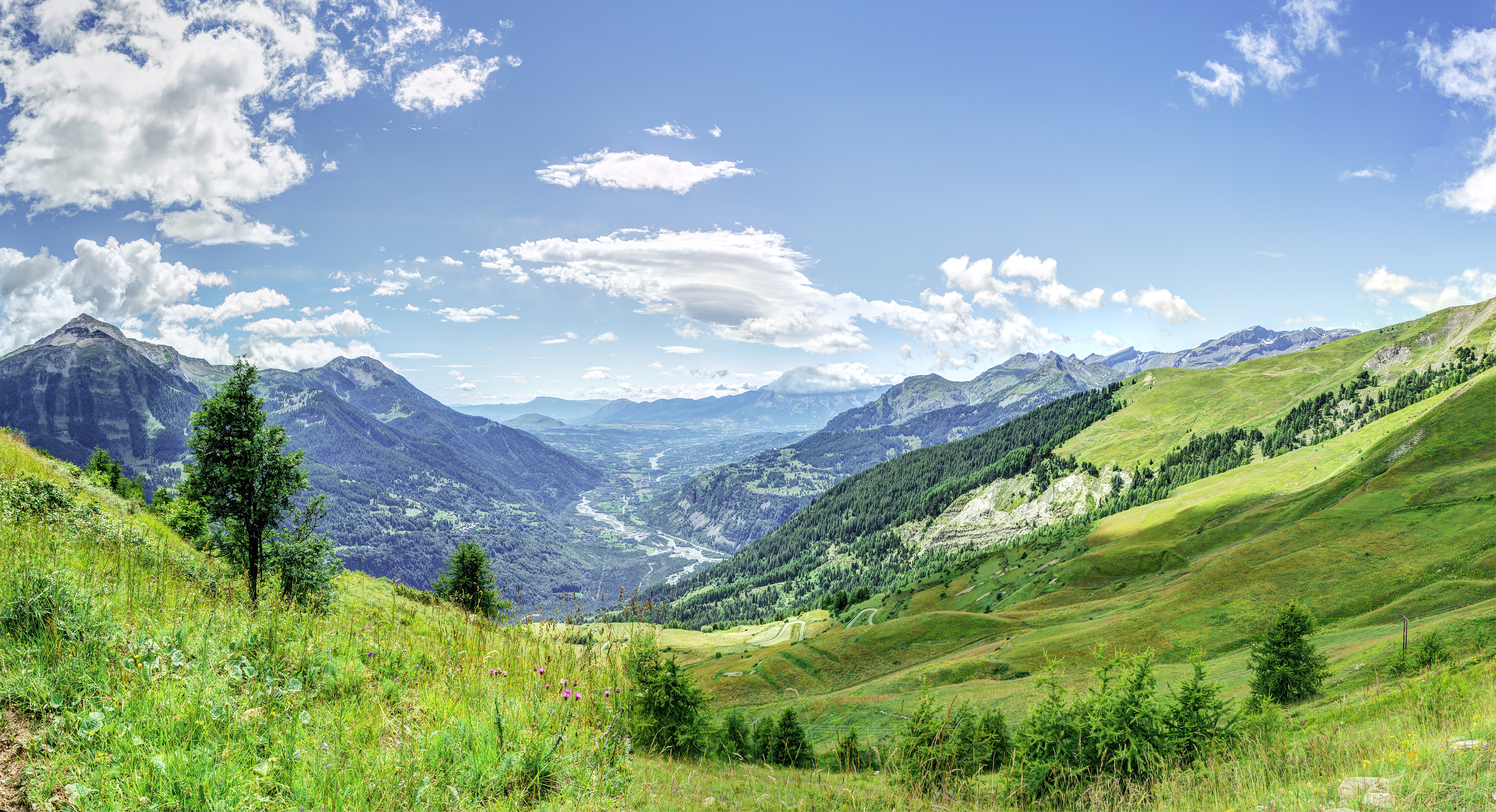 Landscape photo of green grass field and trees with mountains under