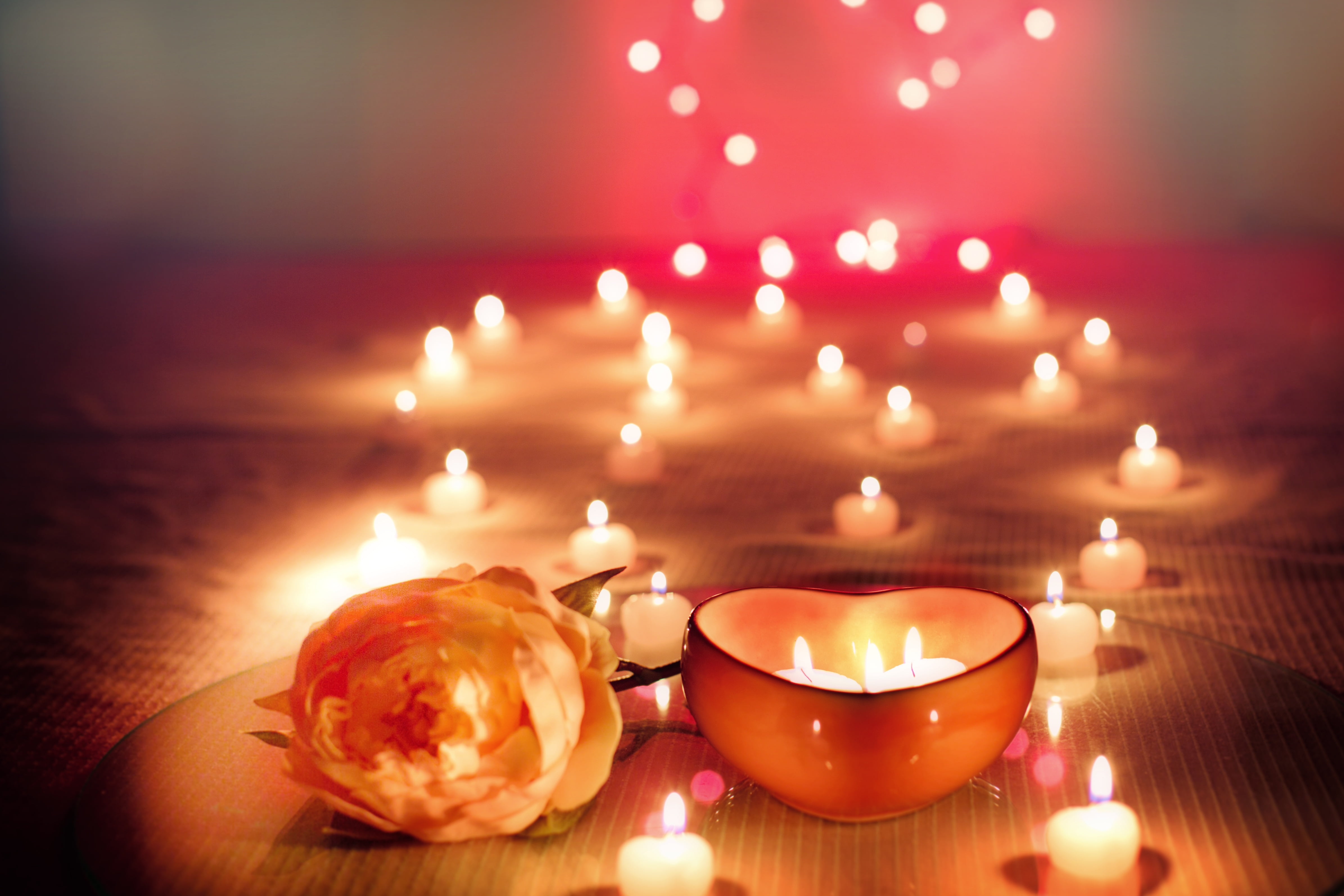 white Rose beside tealight candle