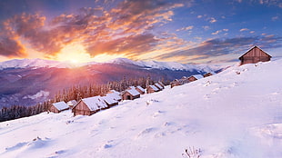 brown houses, nature, winter, landscape, snow