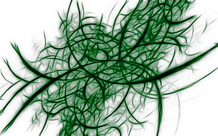 green strands digital wallpaper