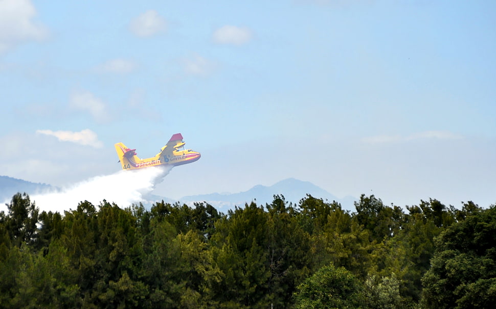 yellow and red airplane, airplane, forest, firefighting aircraft, vehicle HD wallpaper