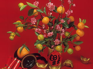 orange and yellow citrus fruits HD wallpaper